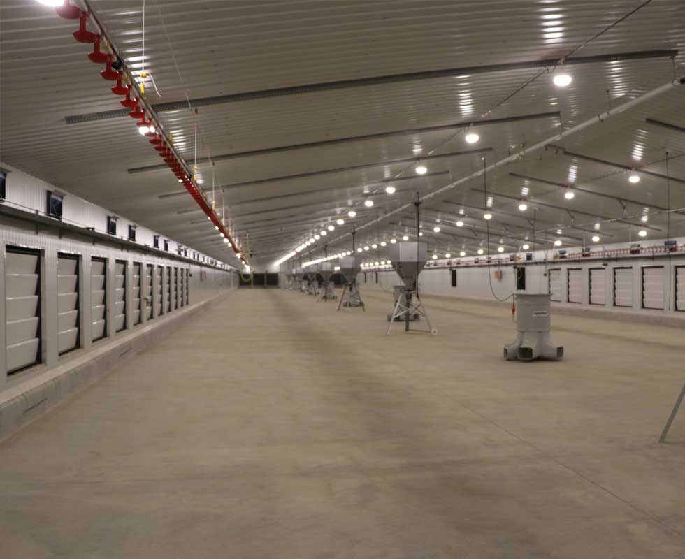 New Zealand industrial and warehouse building design and construction
