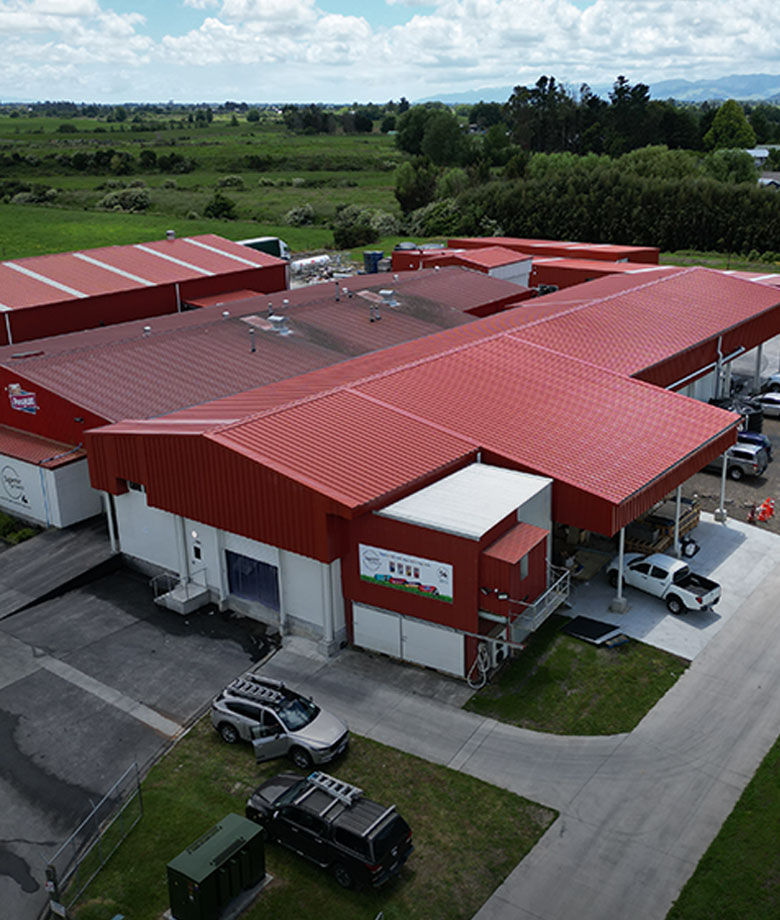 Food processing building design in New Zealand